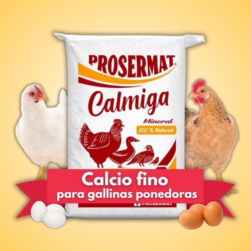 Calcio Polvo para Gallinas Ponedoras 20 kg Camiga