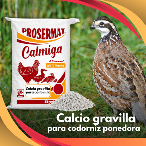 Calcio en Gravilla especial para Codorniz 20 kg Calmiga