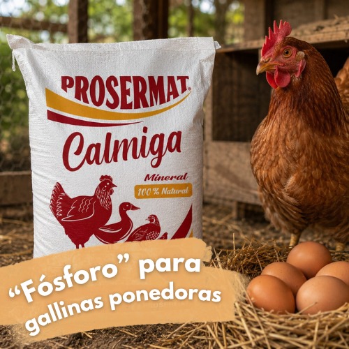 Premezcla mineralizada "Fosforo" para Gallinas ponedoras 20 kg Calmiga