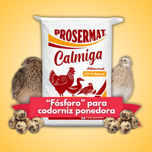 Calcio en Polvo para Codorniz 20 kg Calmiga