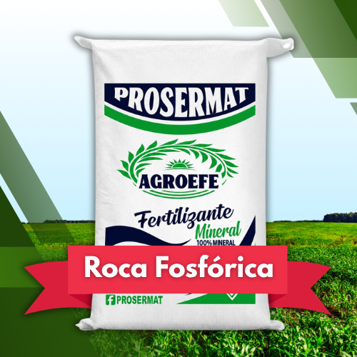 Roca Fosforica en Polvo 20 kg AgroEfe