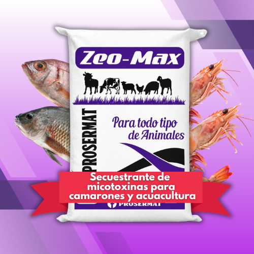 Complemento Mineralizado para Peces 10 kg ZeoMax