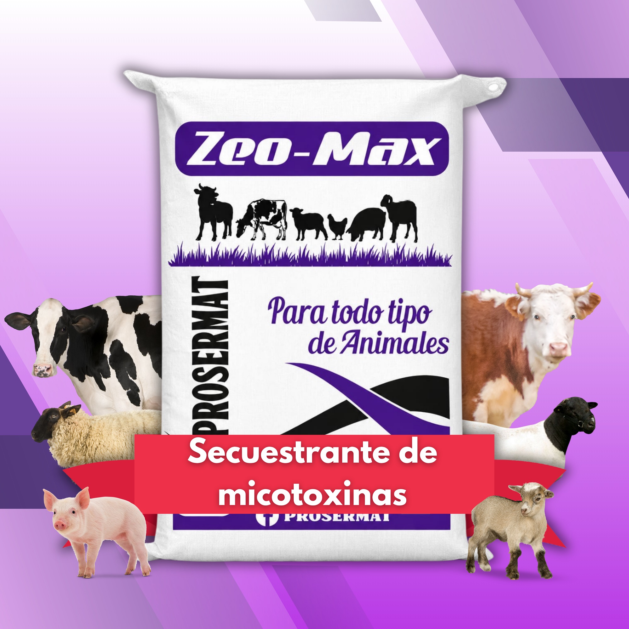 Secuestrante de Micotoxinas aditivo para alimento balanceado 20kg ZeoMax