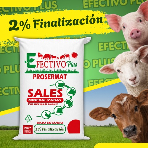 Premezcla mineralizada Amino-Engorda 2% Finalización 20 kg Efectivo Plus