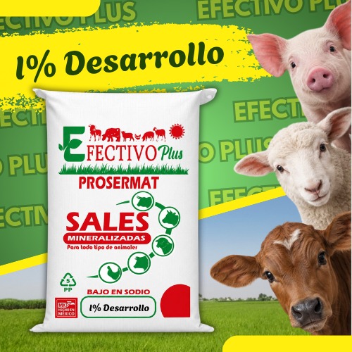 Premezcla mineralizada Amino-Engorda 1% Desarrollo 20 kga Efectivo Plus